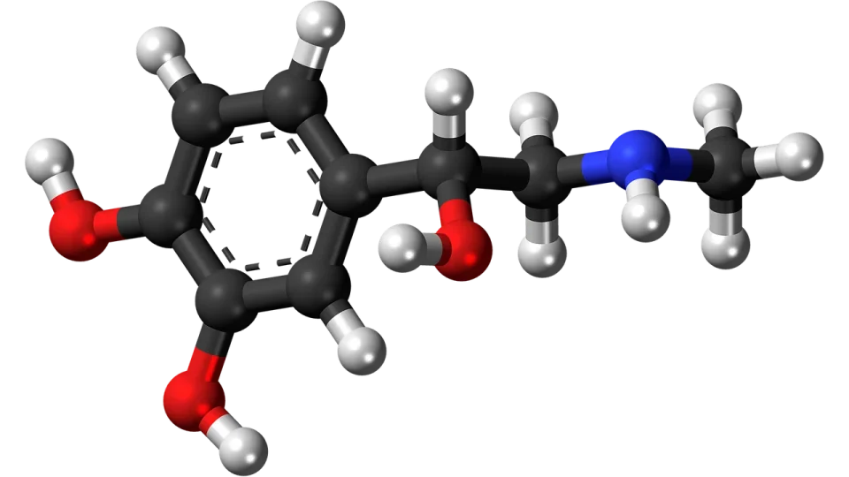 hormonii fericirii