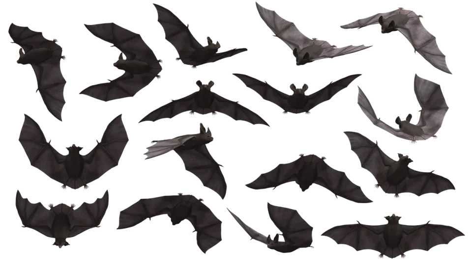 pentru halloween