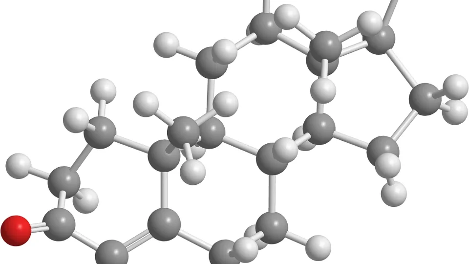 hormonii de stres