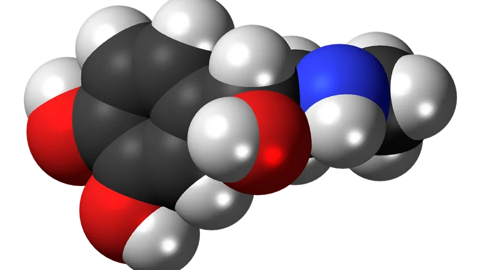 hormonii in timpul menstruatiei