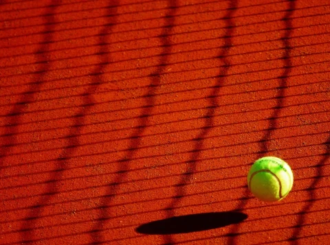 clasamentele wta masculine: o privire asupra performantelor