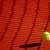 clasamentele wta masculine: o privire asupra performantelor