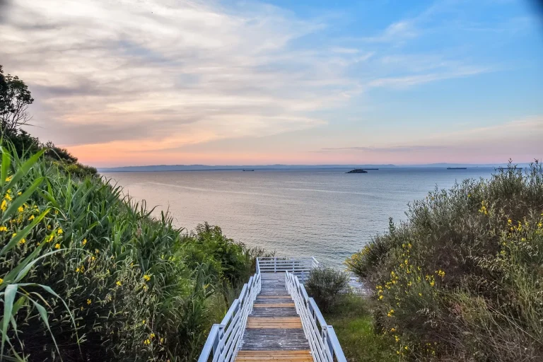 Cele mai frumoase unghii cu gel din lume modele spectaculoase