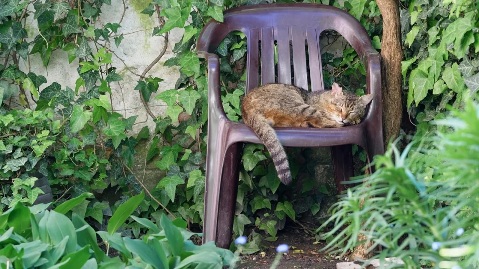 ce se intampla daca nu dormi noaptea