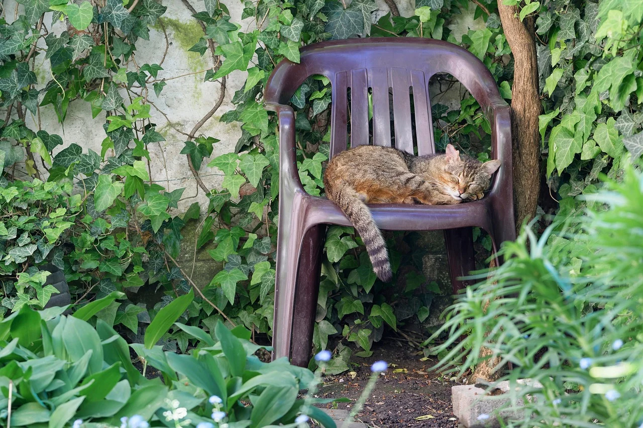 ce se intampla daca nu dormi noaptea