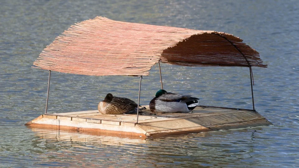 ce se intampla daca nu dormi noaptea si dormi ziua