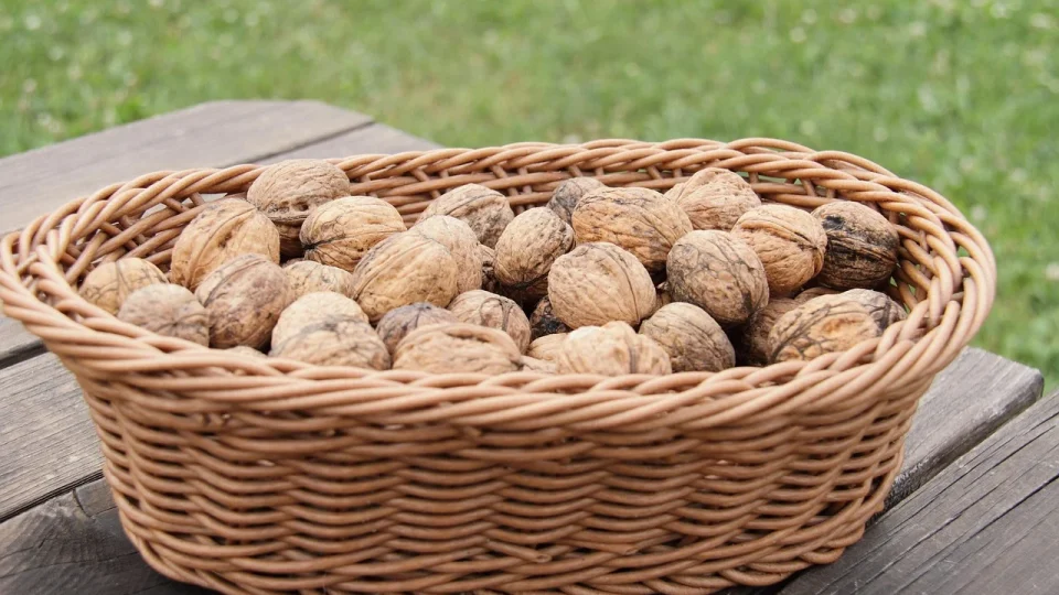 ce se intampla daca mananci 5 nuci in fiecare zi