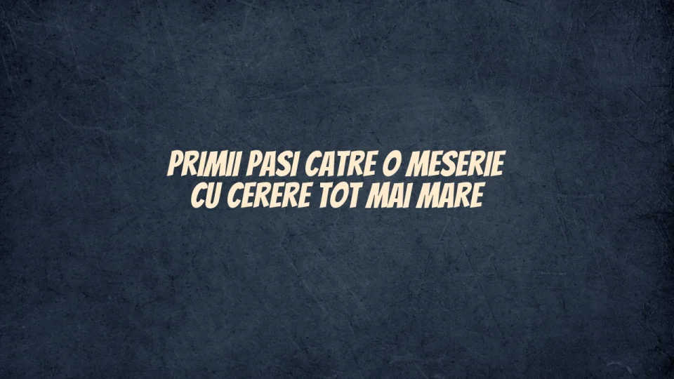 Primii pasi catre o meserie cu cerere tot mai mare