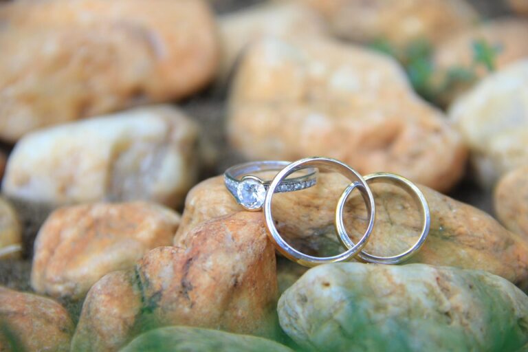 andreea antonescu divort